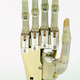 Illustration for article titled New ‘Superhuman’ exhibit chronicles the history of human enhancement — from toes to dildos